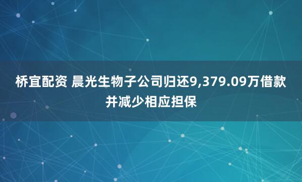 桥宜配资 晨光生物子公司归还9,379.09万借款并减少相应担保